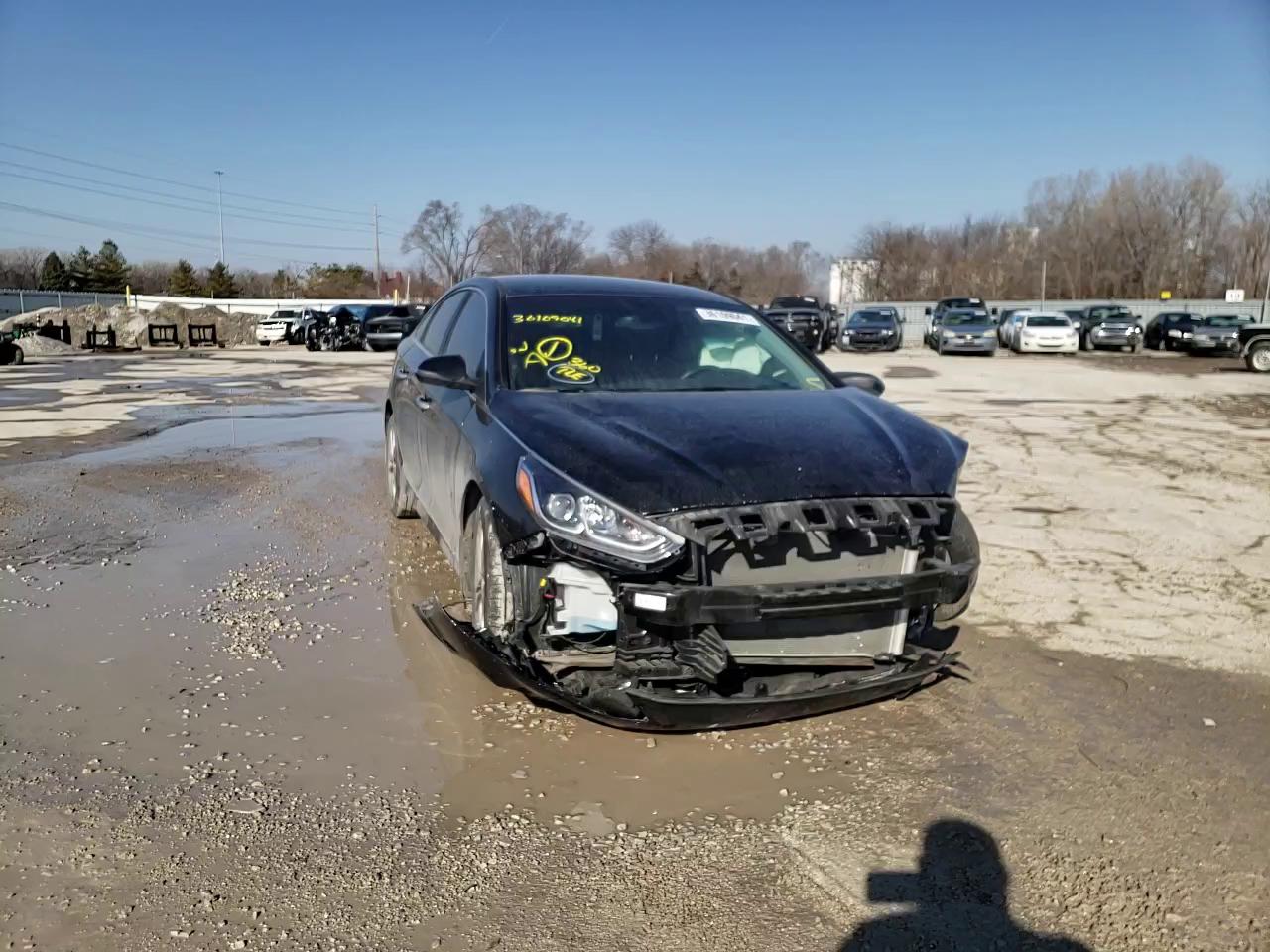 2019 HYUNDAI SONATA LIM 5NPE34AF4KH731947