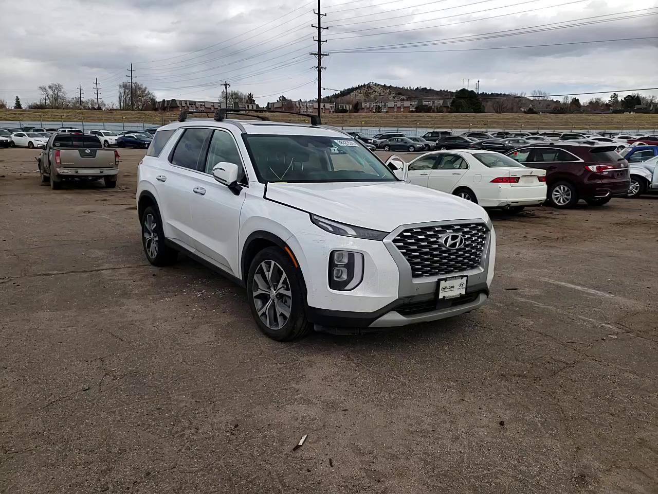 2020 HYUNDAI PALISADE S KM8R3DHE0LU144176