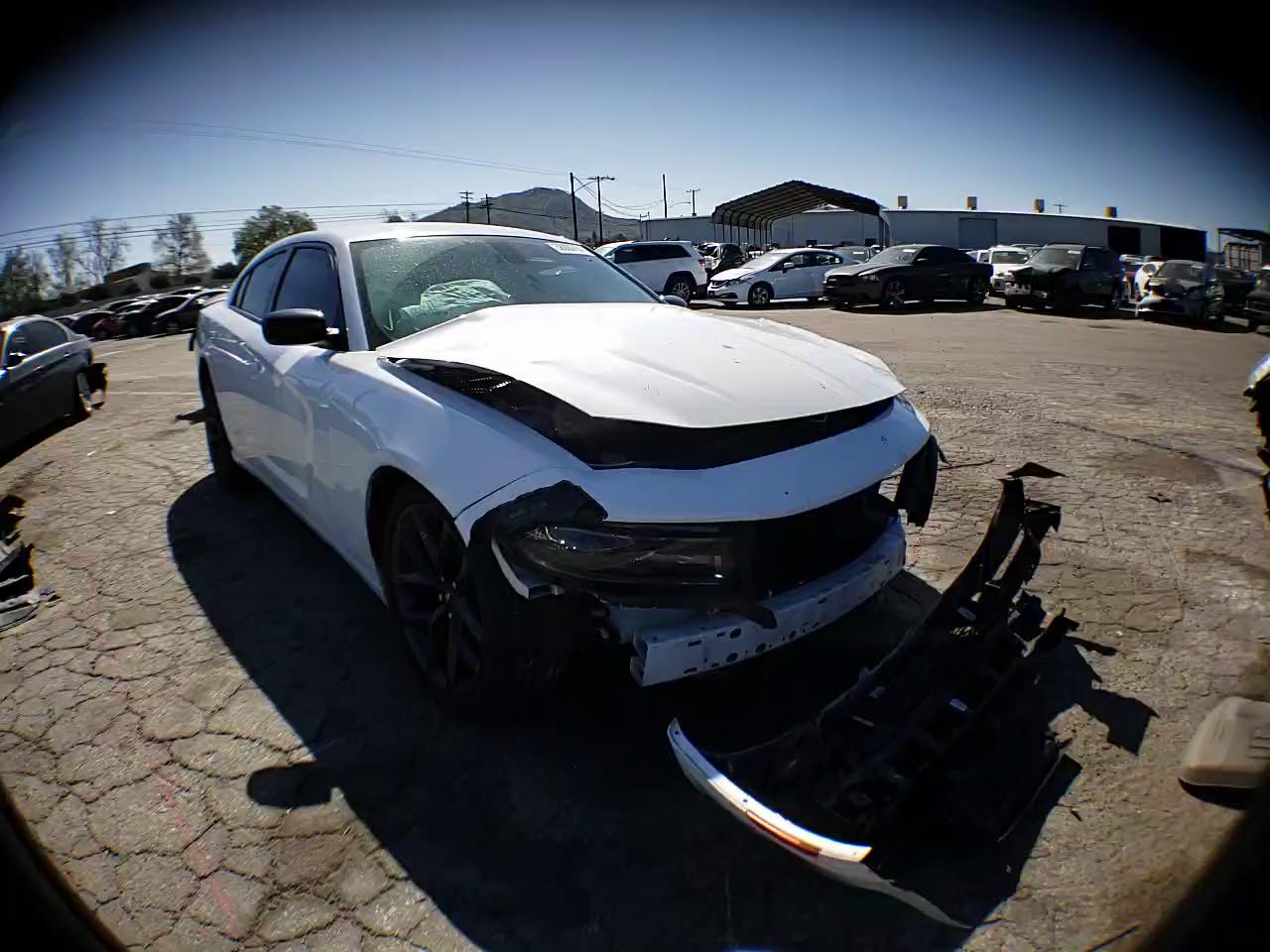 Dodge Charger Salvage Yard