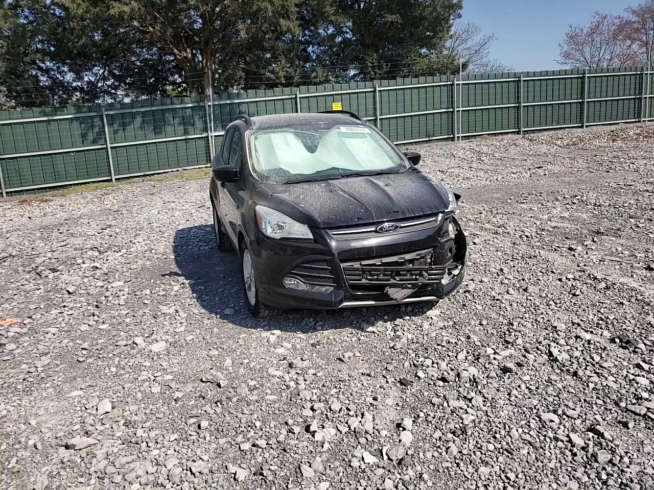 2014 FORD ESCAPE SE 1FMCU0GX5EUD86270