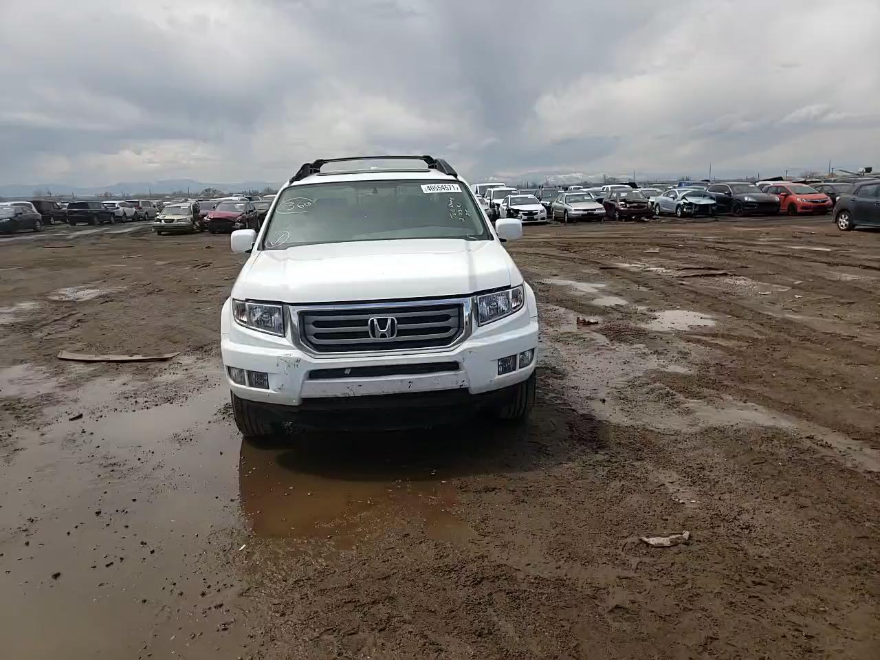 2014 HONDA RIDGELINE 5FPYK1F50EB011618