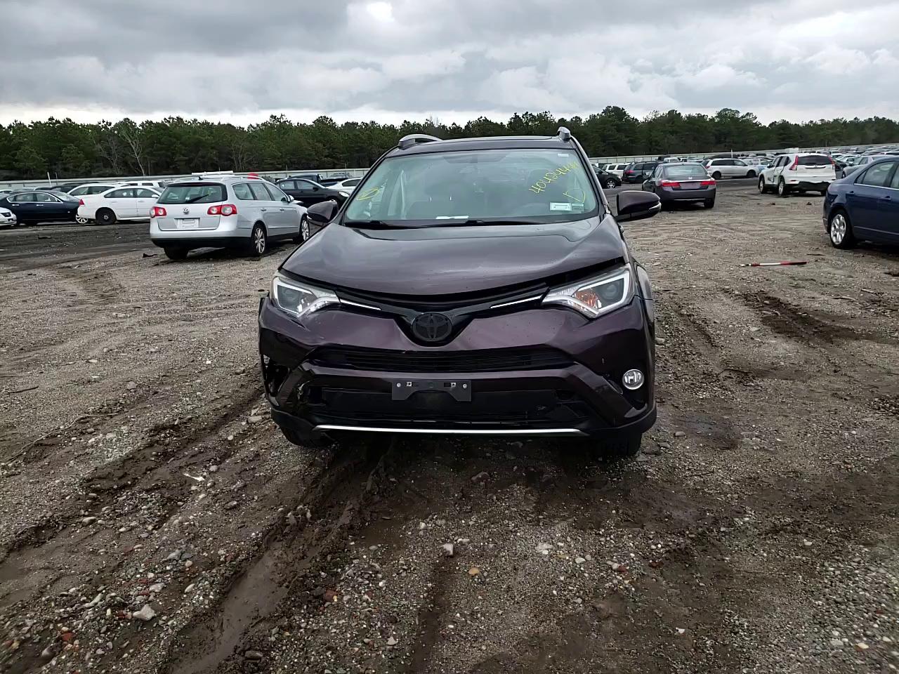 2016 TOYOTA RAV4 XLE 2T3RFREV0GW460554