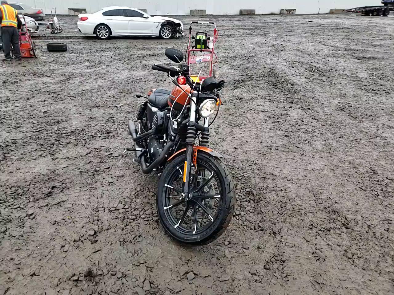 2020 HARLEY-DAVIDSON XL883 N 1HD4LE214LB433744