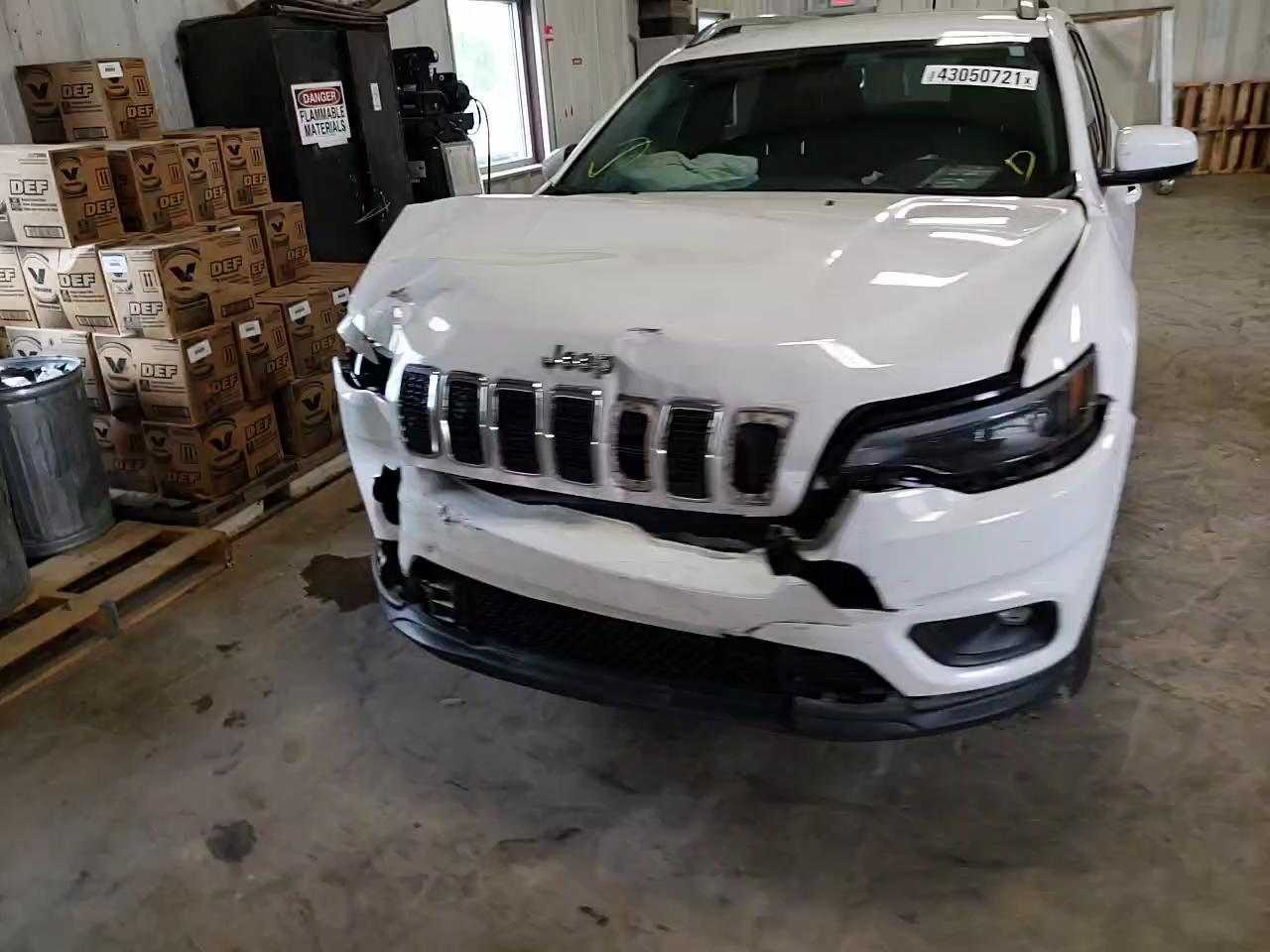 2019 JEEP CHEROKEE L 1C4PJMLB9KD273546