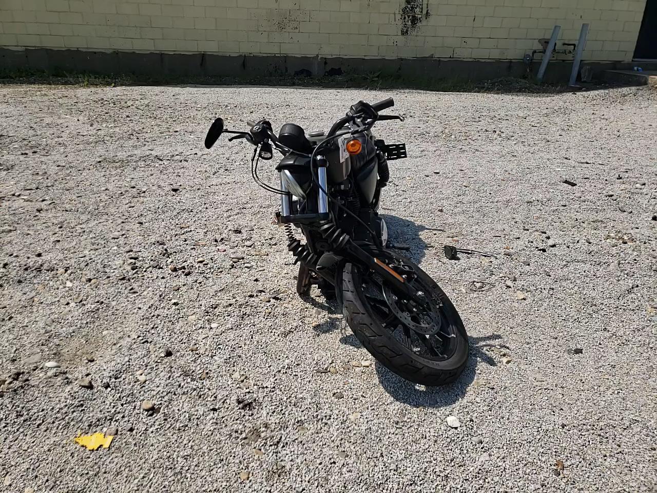 2019 HARLEY-DAVIDSON XL883 N 1HD4LE217KC430233