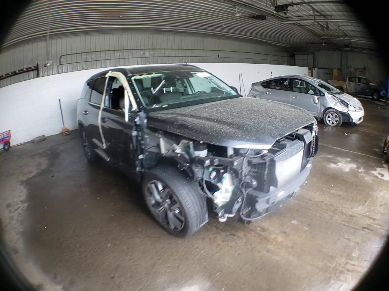 2020 HYUNDAI PALISADE S KM8R3DHE1LU077023