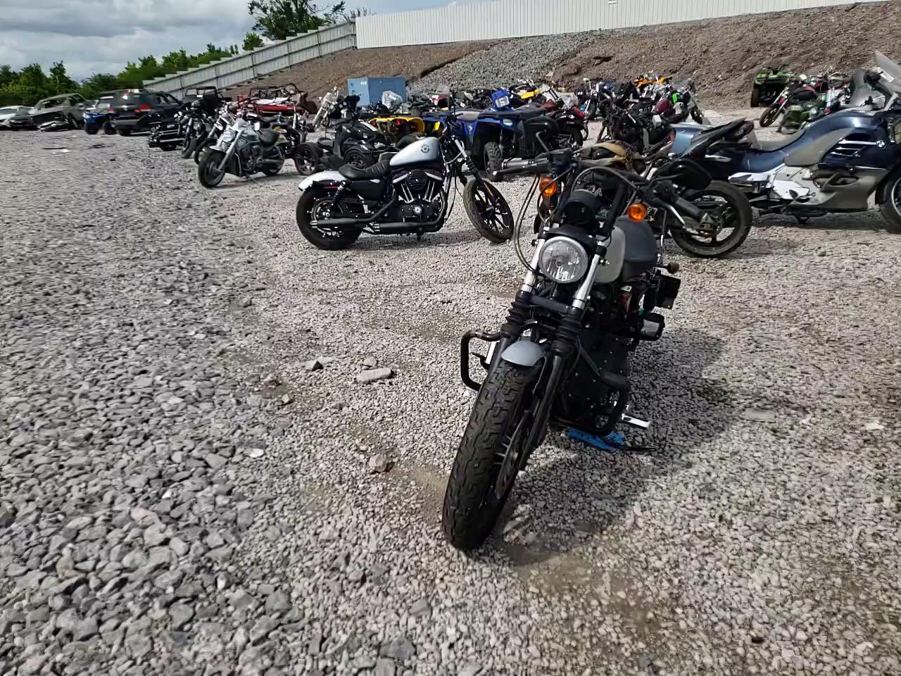 2010 HARLEY-DAVIDSON XL883 N 1HD4LE216AC434210