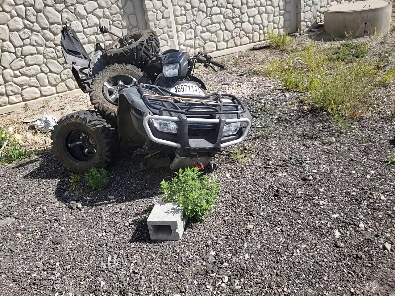 2009 HONDA TRX500 FA 1HFTE260394801535