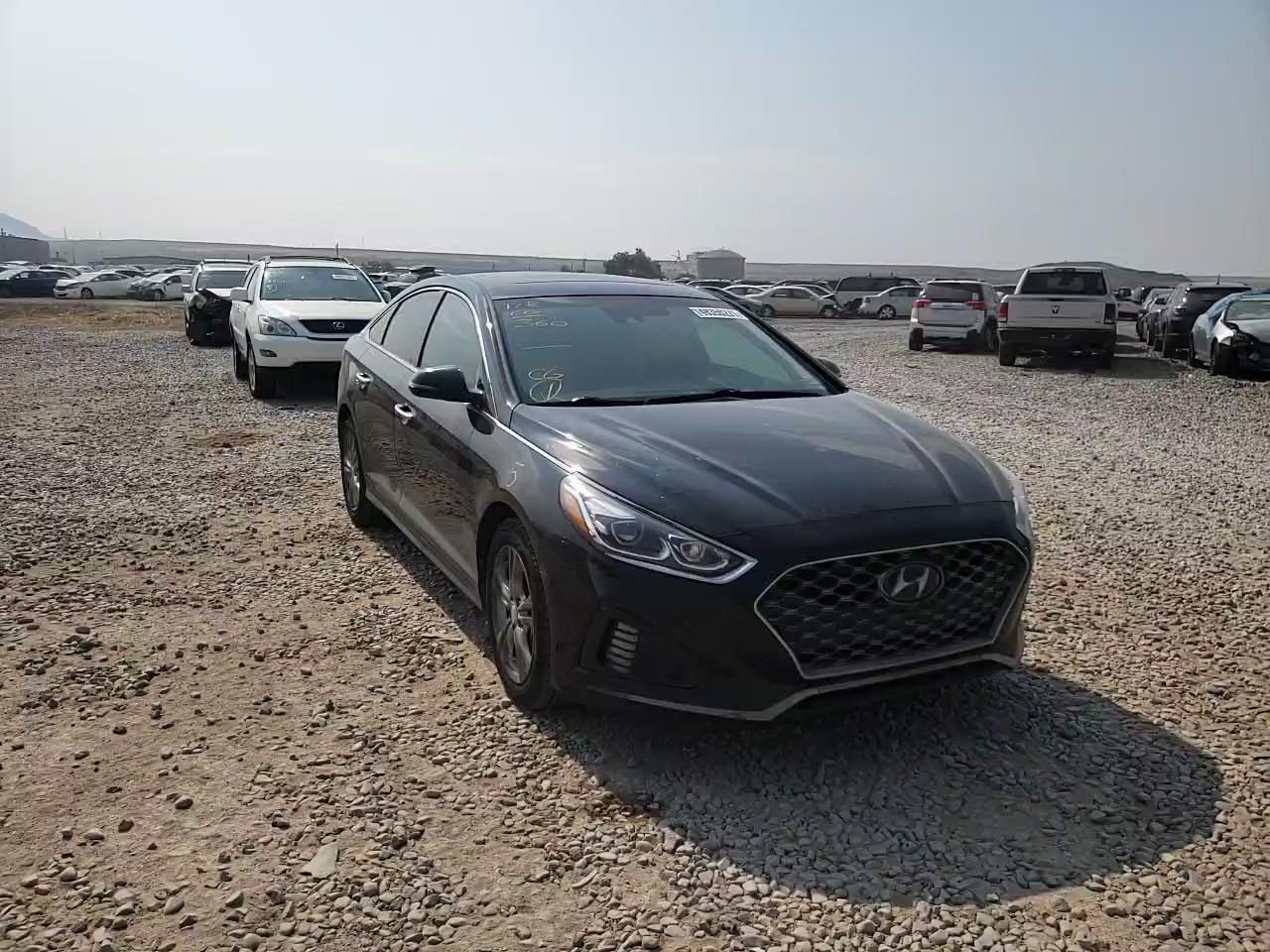 2019 HYUNDAI SONATA LIM 5NPE34AF4KH739305