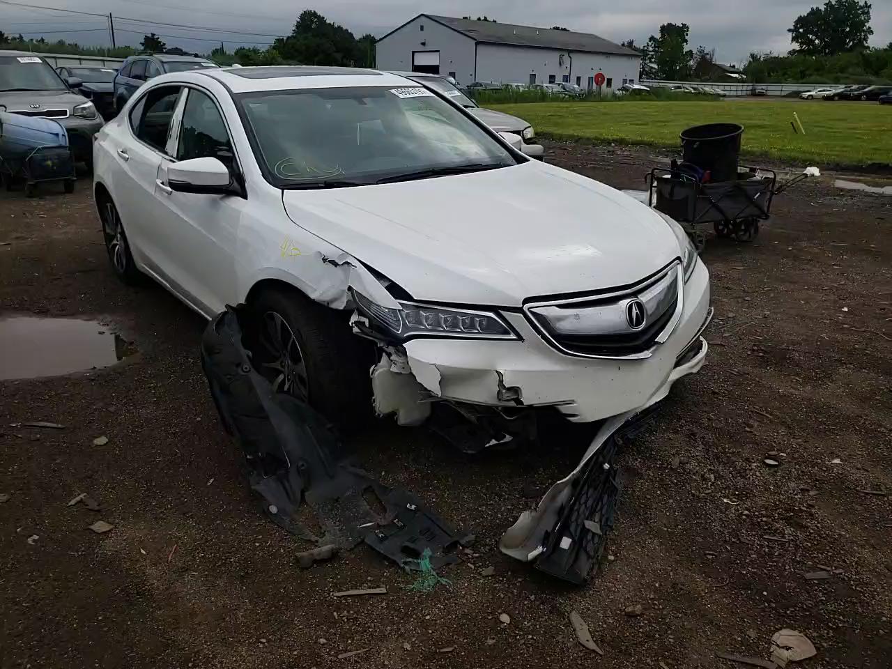 2015 ACURA TLX 19UUB1F36FA014346