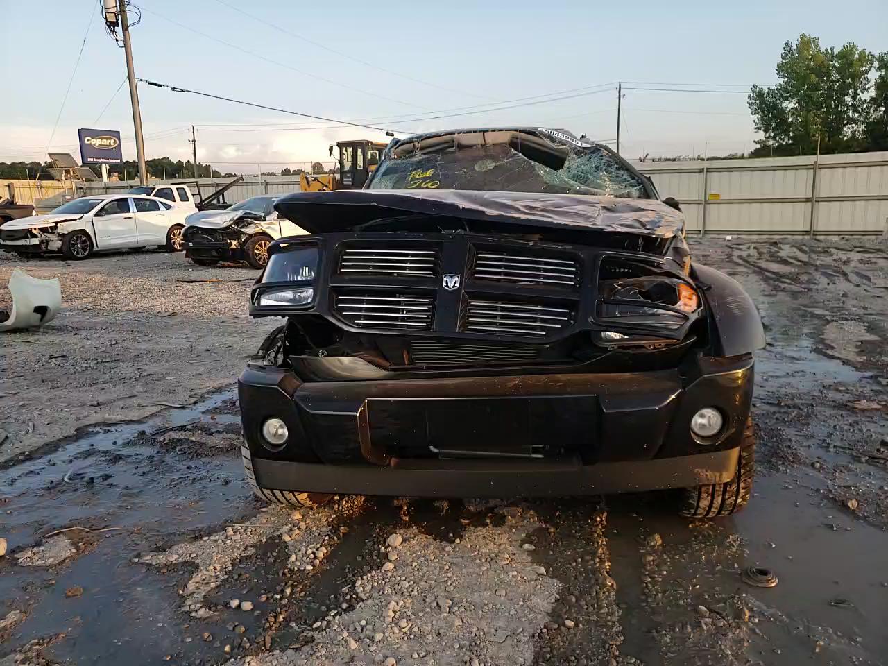 2010 DODGE NITRO SHOC 1D4PT7GX6AW170253