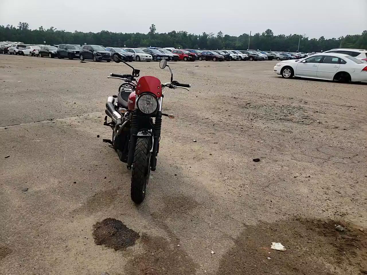 2019 TRIUMPH MOTORCYCLE STREET SCR SMTD44GN9KT924163