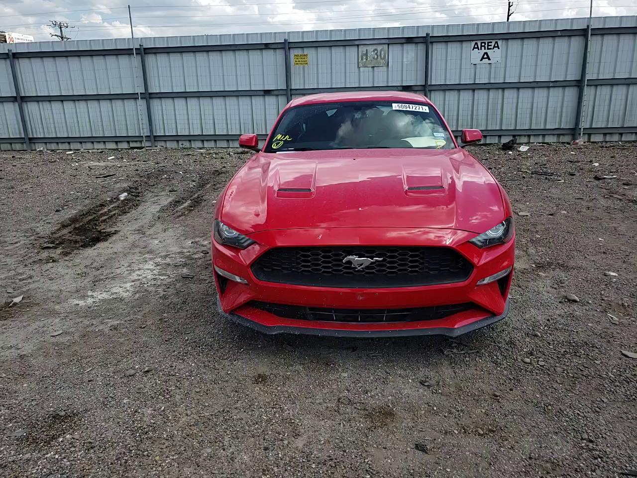2019 FORD MUSTANG 1FA6P8TH1K5151687