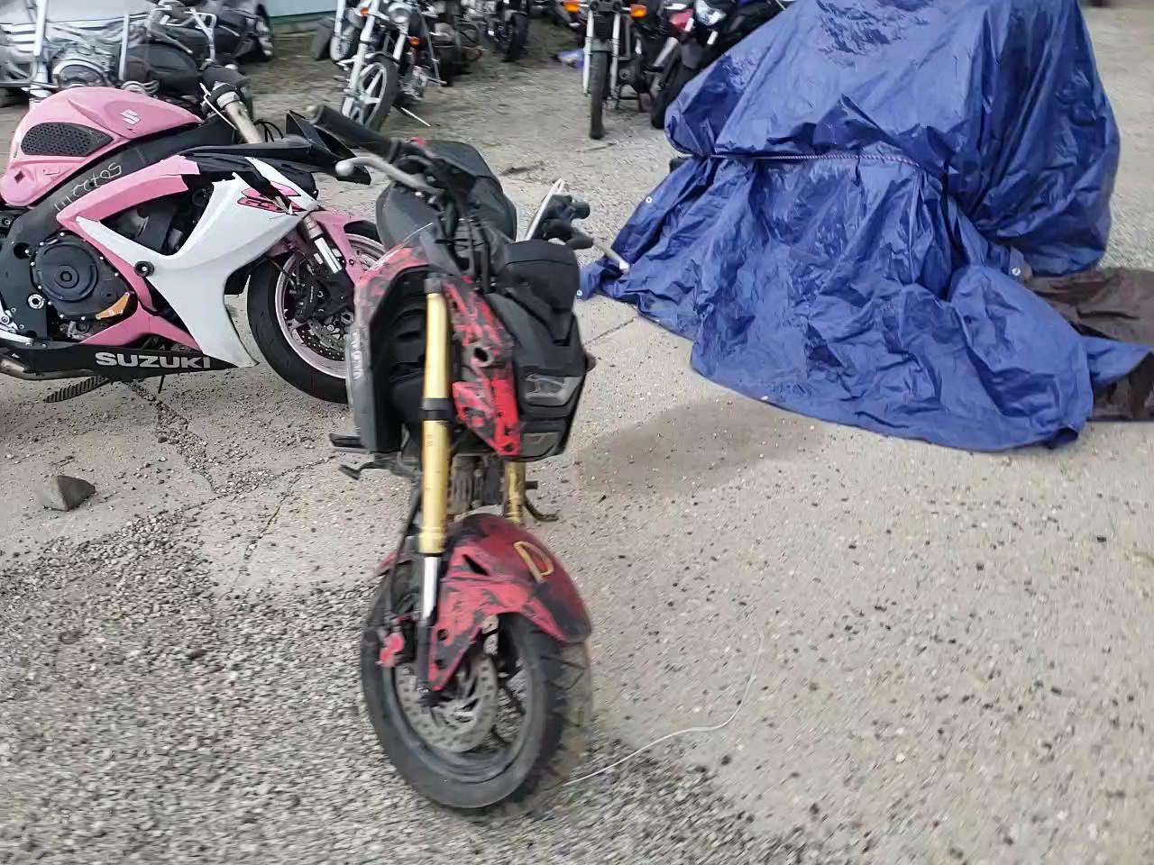2019 HONDA GROM 125 MLHJC7516K5100919