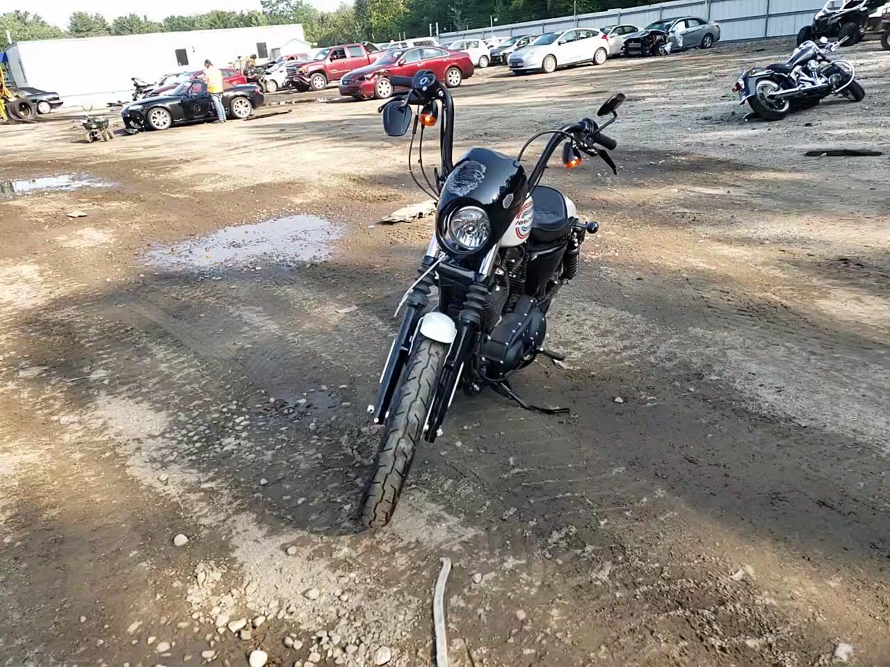 2021 HARLEY-DAVIDSON XL1200 NS 1HD1LP311MB409044