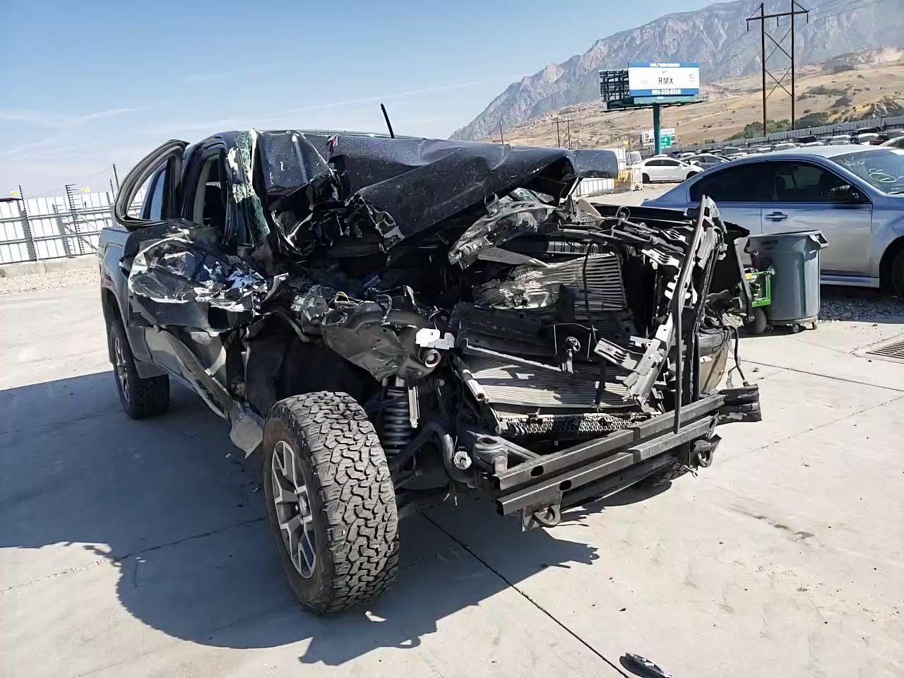 2019 GMC CANYON ALL 1GTP6FE19K1231249