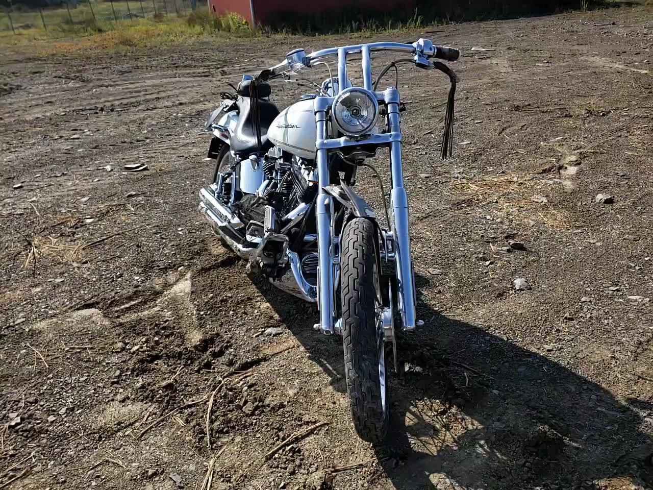 2004 HARLEY-DAVIDSON FXSTDI 1HD1JBB104Y047019