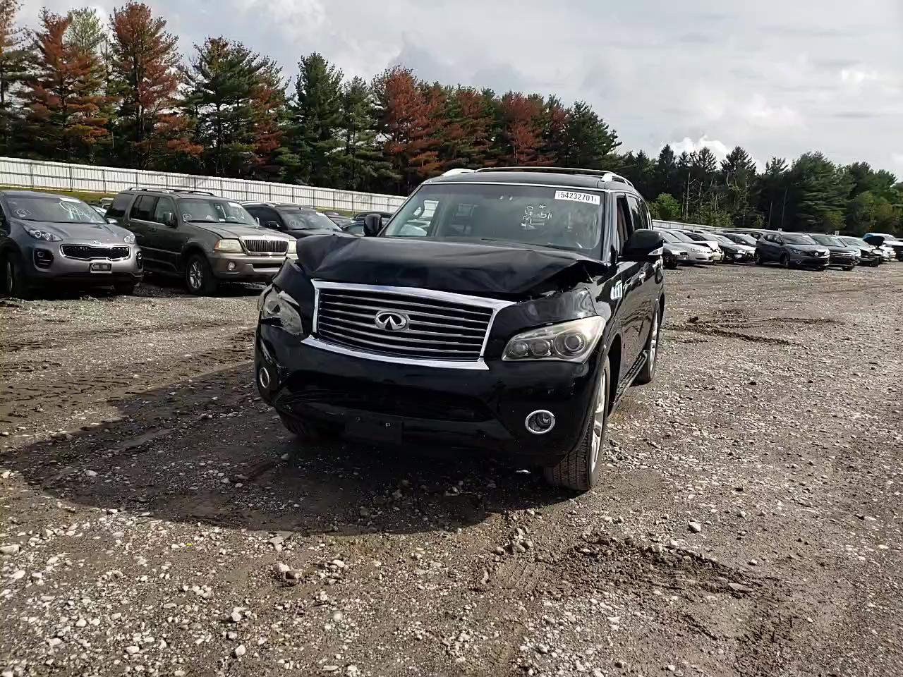 2013 INFINITI QX56 JN8AZ2NC1D9330549