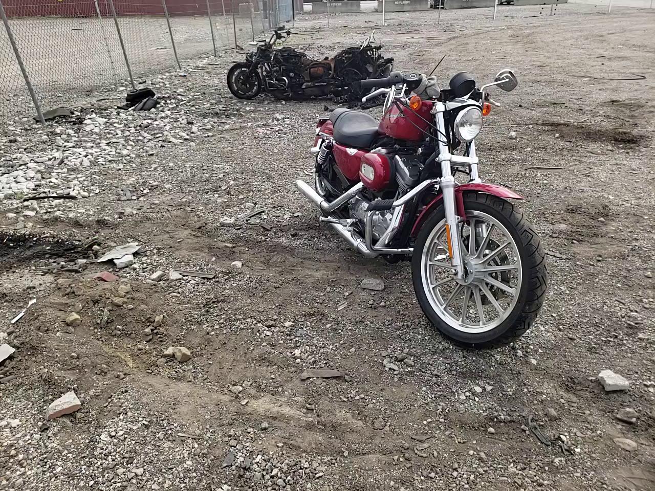2004 HARLEY-DAVIDSON XL883 1HD4CAM144K414666