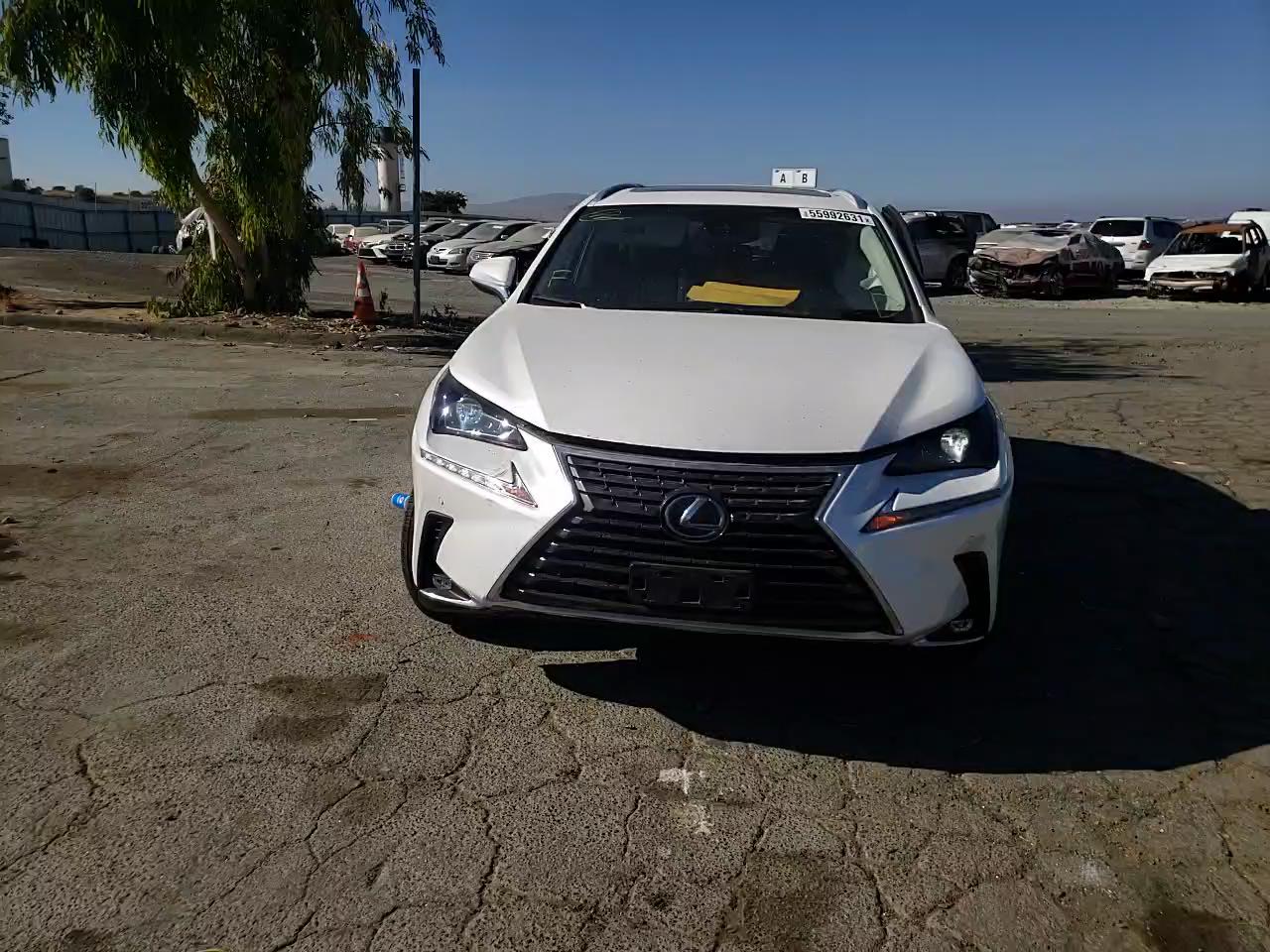 2018 LEXUS NX 300H JTJBJRBZ7J2095360