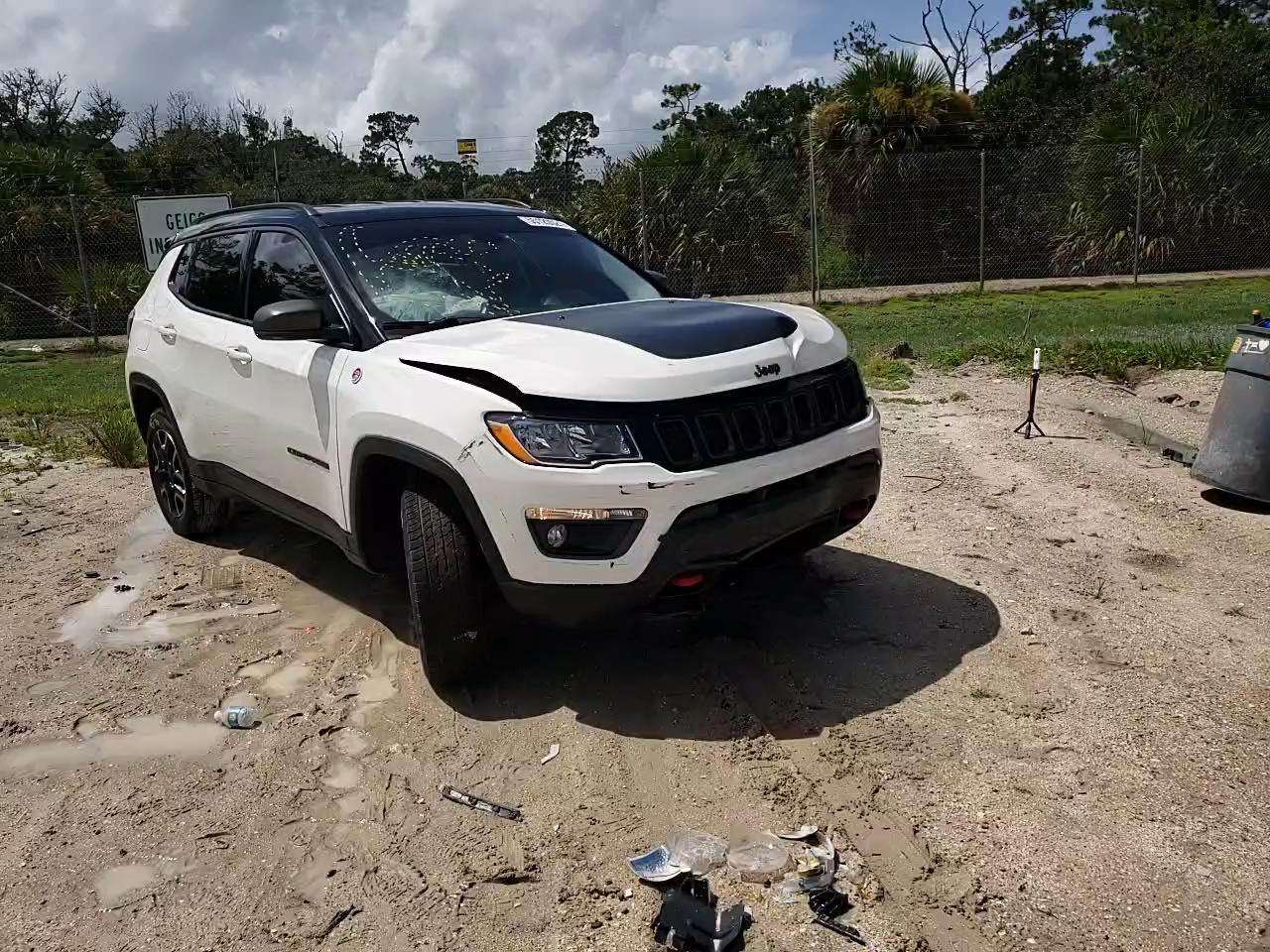 2019 JEEP COMPASS TR 3C4NJDDB9KT671324