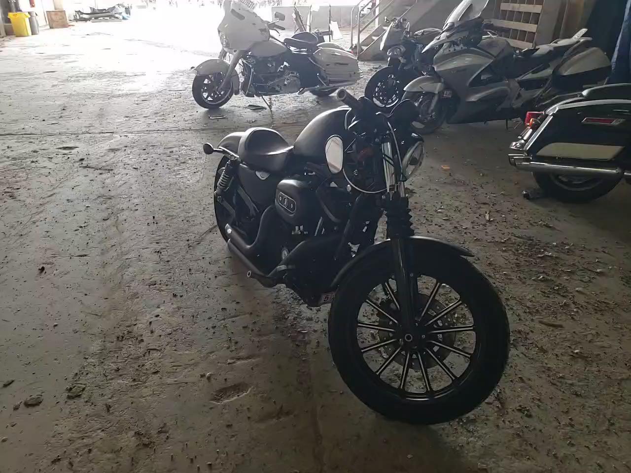 2009 HARLEY-DAVIDSON XL883 N 1HD4LE2499K446931