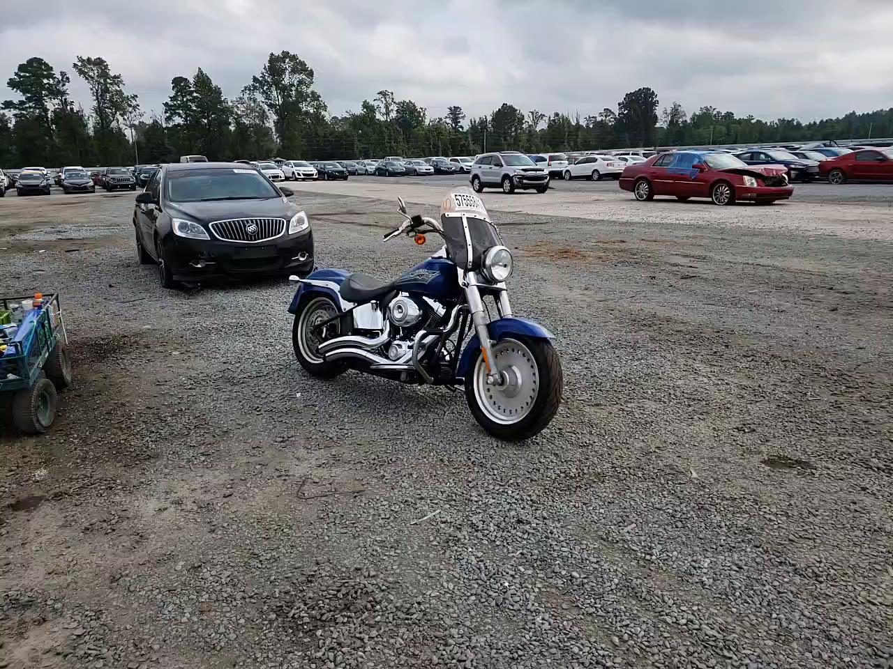 2009 HARLEY-DAVIDSON FLSTF 1HD1BX5179Y053736