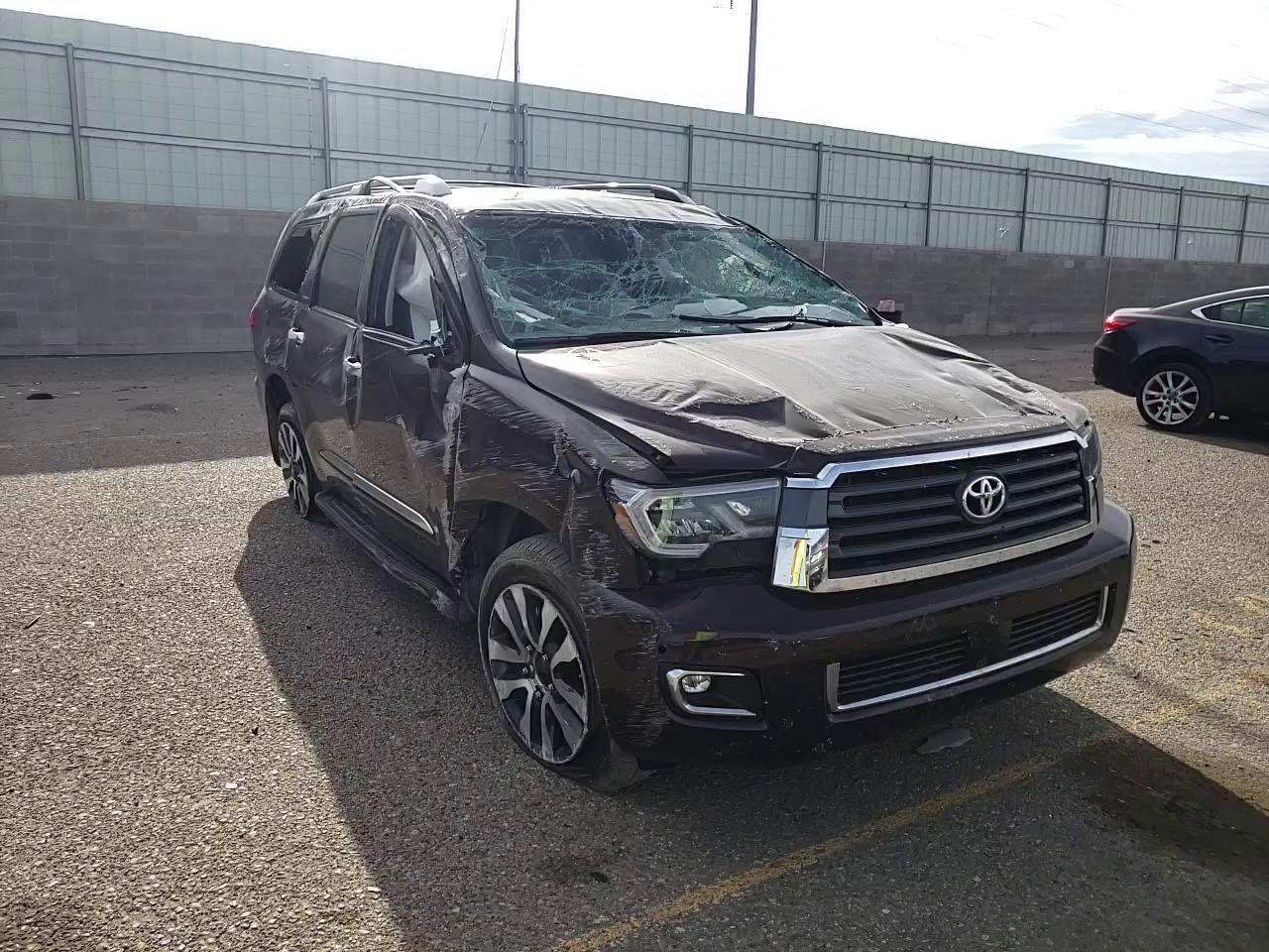 2019 TOYOTA SEQUOIA LI 5TDJY5G10KS174403