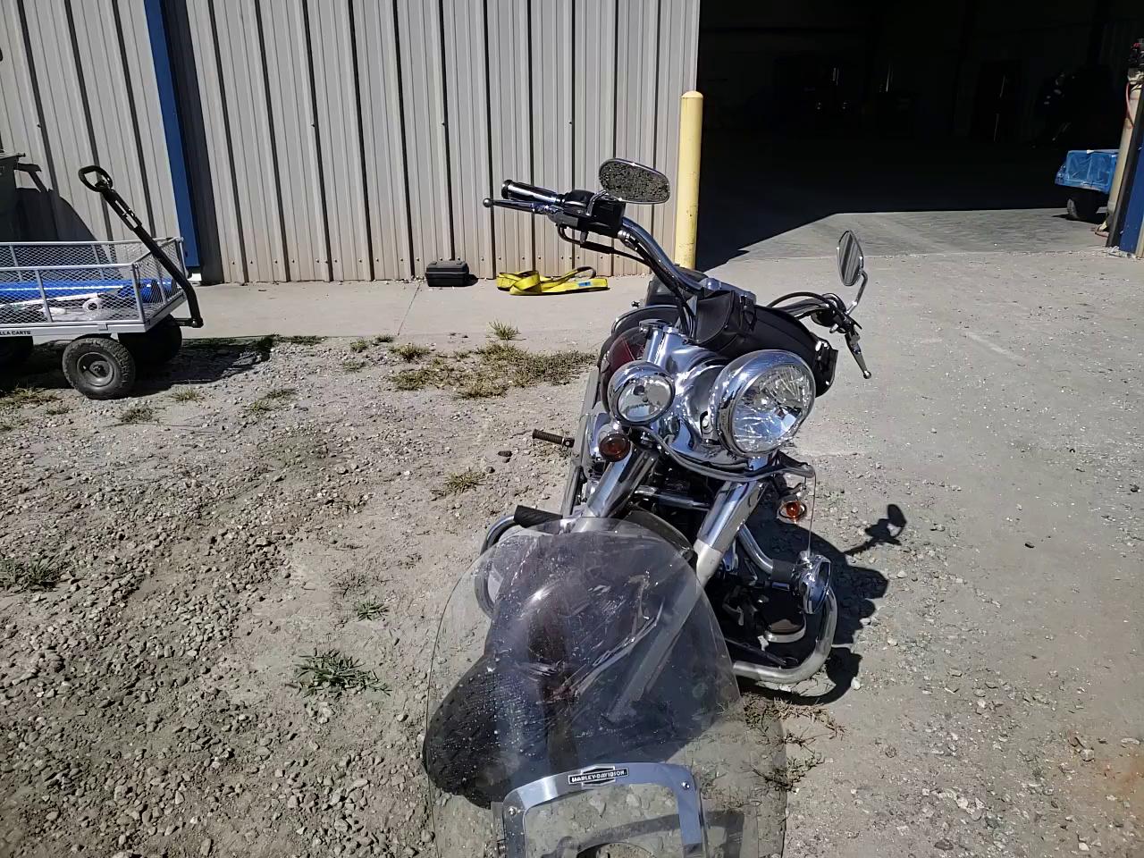 2011 HARLEY-DAVIDSON FLSTN 1HD1JD519BB021154