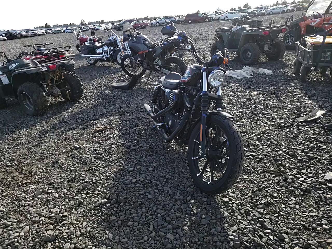 2020 HARLEY-DAVIDSON XL883 N 1HD4LE213LB437784
