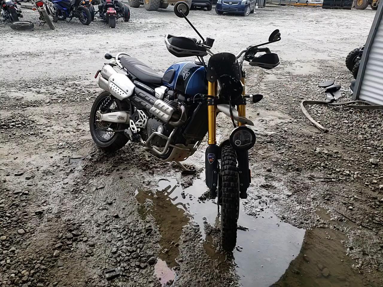 2019 TRIUMPH MOTORCYCLE SCRAMBLER SMTD51HG5KT936919