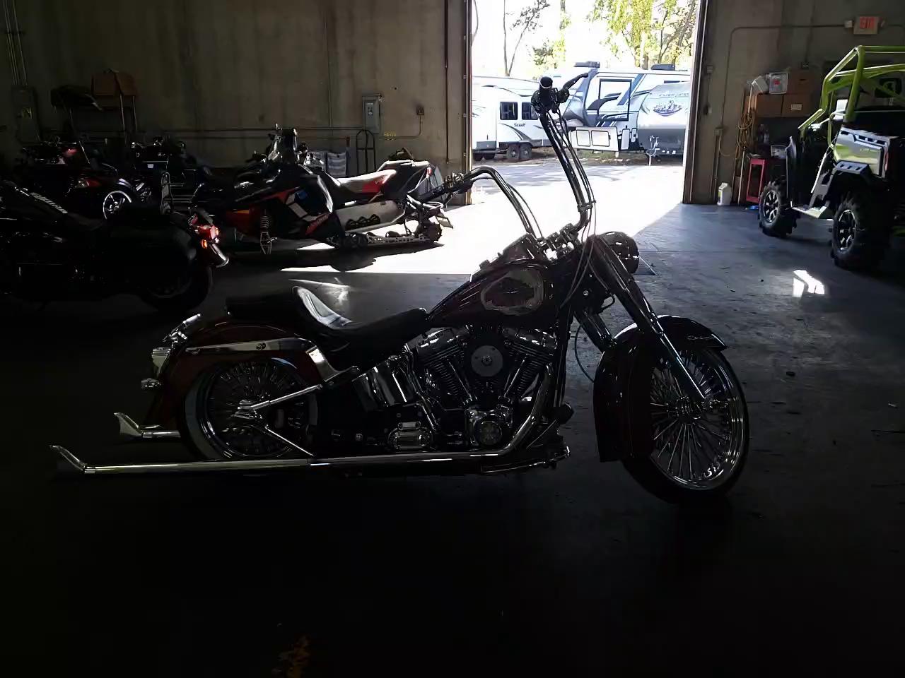 2009 HARLEY-DAVIDSON FLSTN 1HD1JD5169Y049274