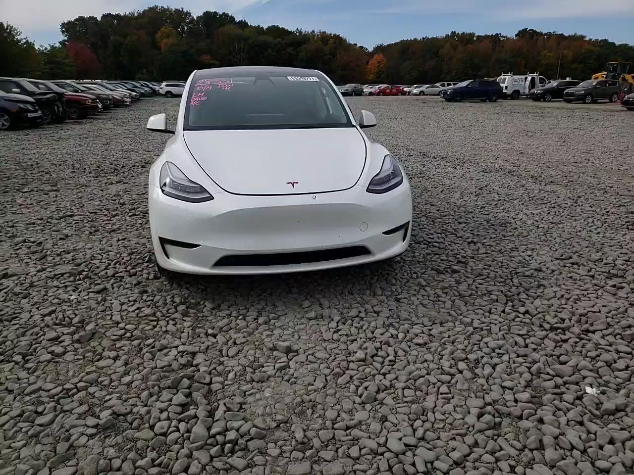 2021 TESLA MODEL Y 5YJYGDEE9MF090671