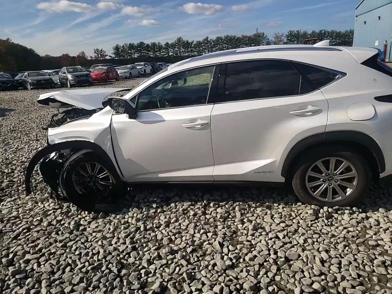 2021 LEXUS NX 300H BA JTJDJRDZ6M5013997