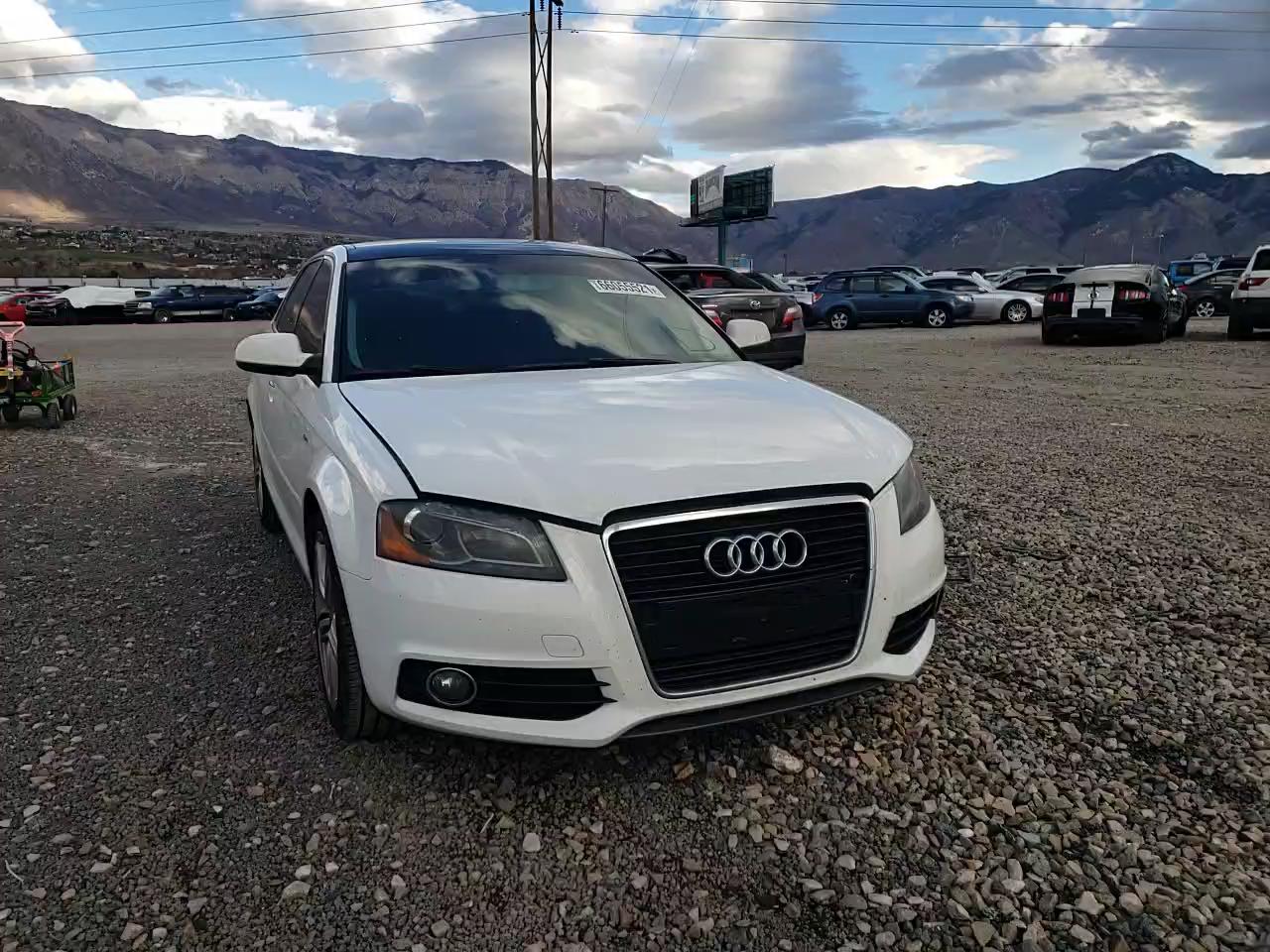2011 AUDI A3 WAUKJBFMXBA029110