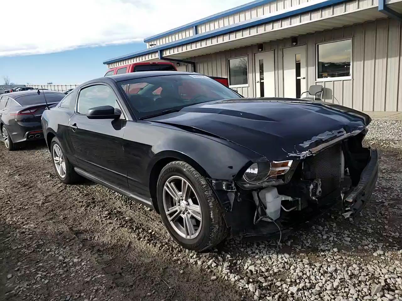 2011 FORD MUSTANG LX 1ZVBP8AM6B5100580