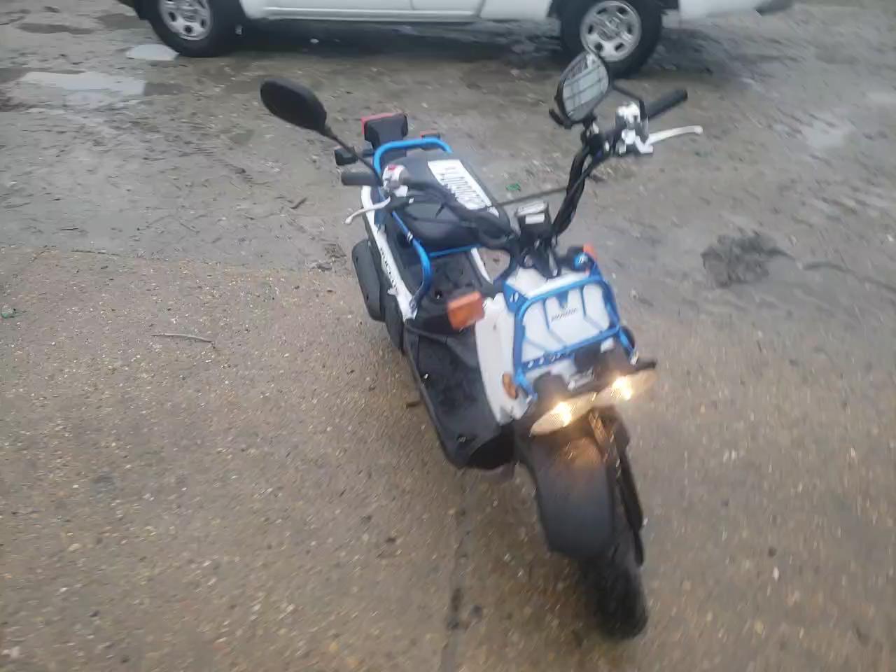 2022 HONDA NPS50 JH2AF5810NK900381