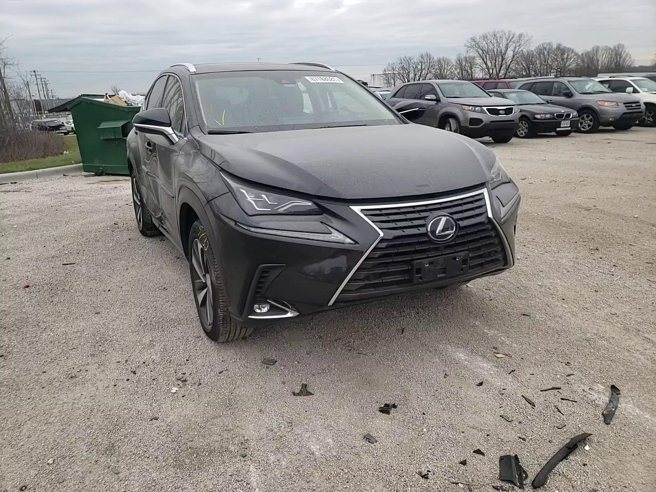 2018 LEXUS NX 300H JTJBJRBZ0J2084183
