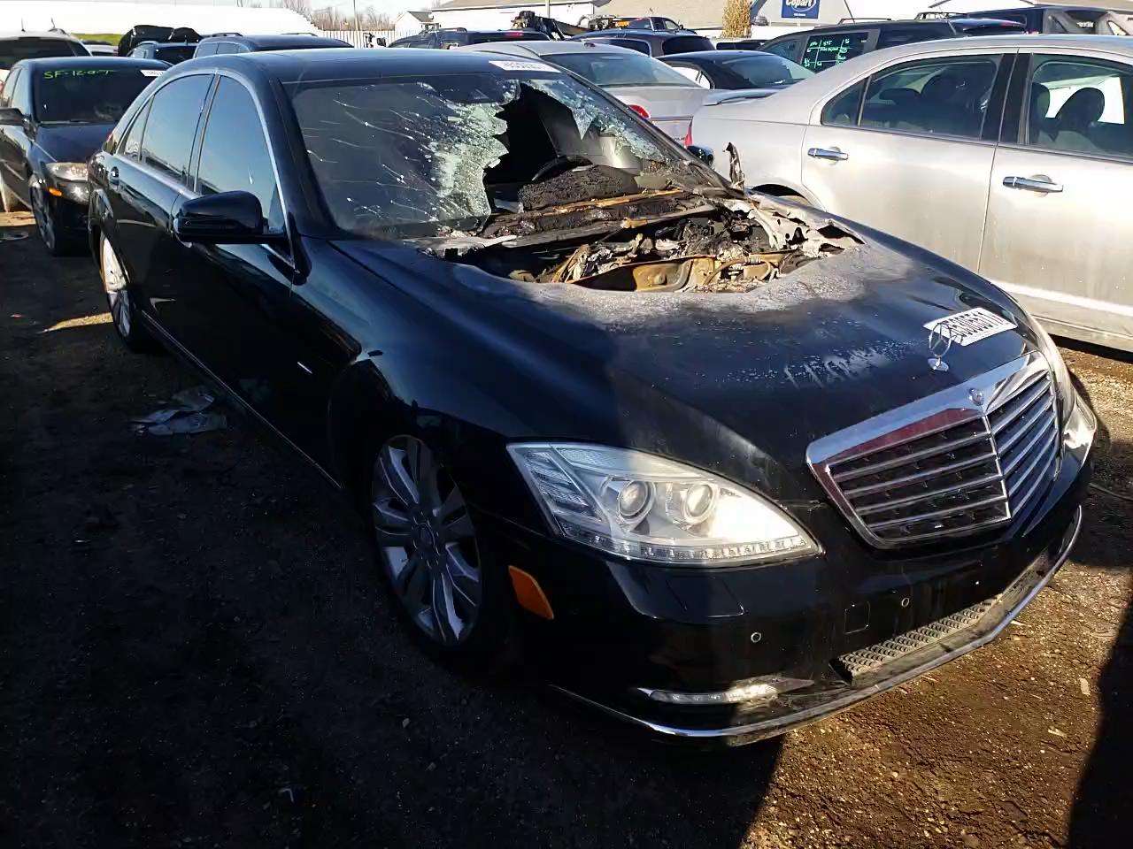2010 MERCEDES-BENZ S 400 WDDNG9FBXAA290697
