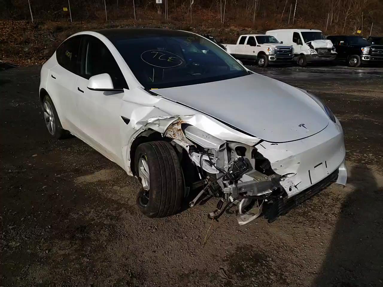 2020 TESLA MODEL Y 5YJYGDEE1LF009645