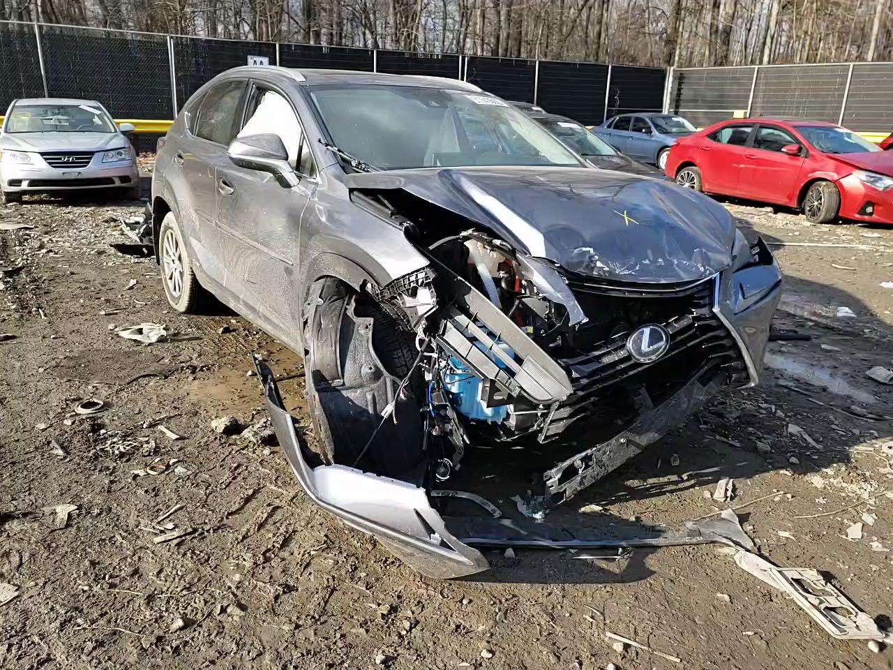 2021 LEXUS NX 300H BA JTJDJRDZ7M2169628