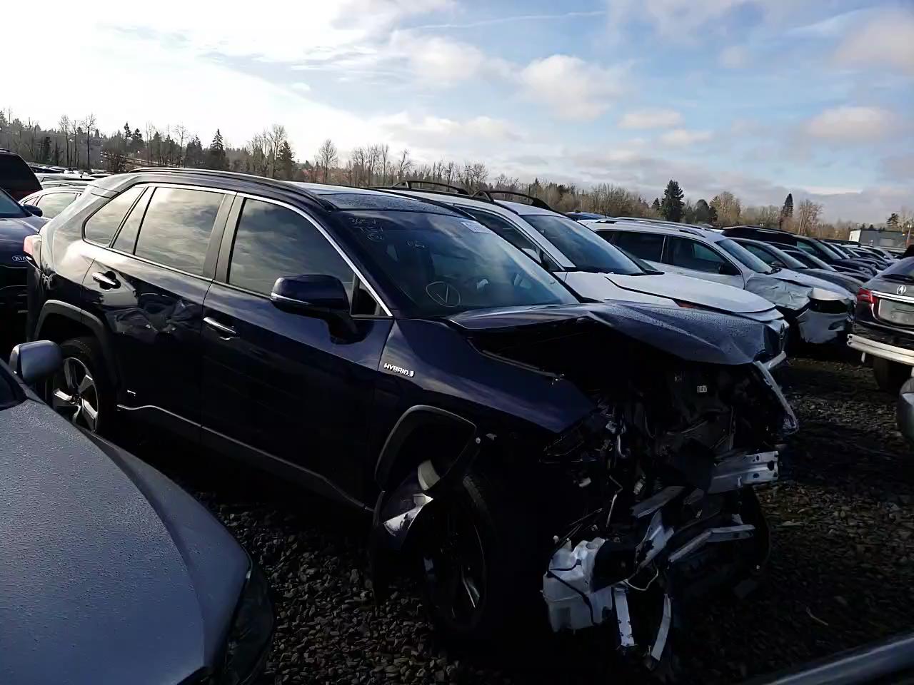 2019 TOYOTA RAV4 HYBRI JTMDWRFV6KD517046