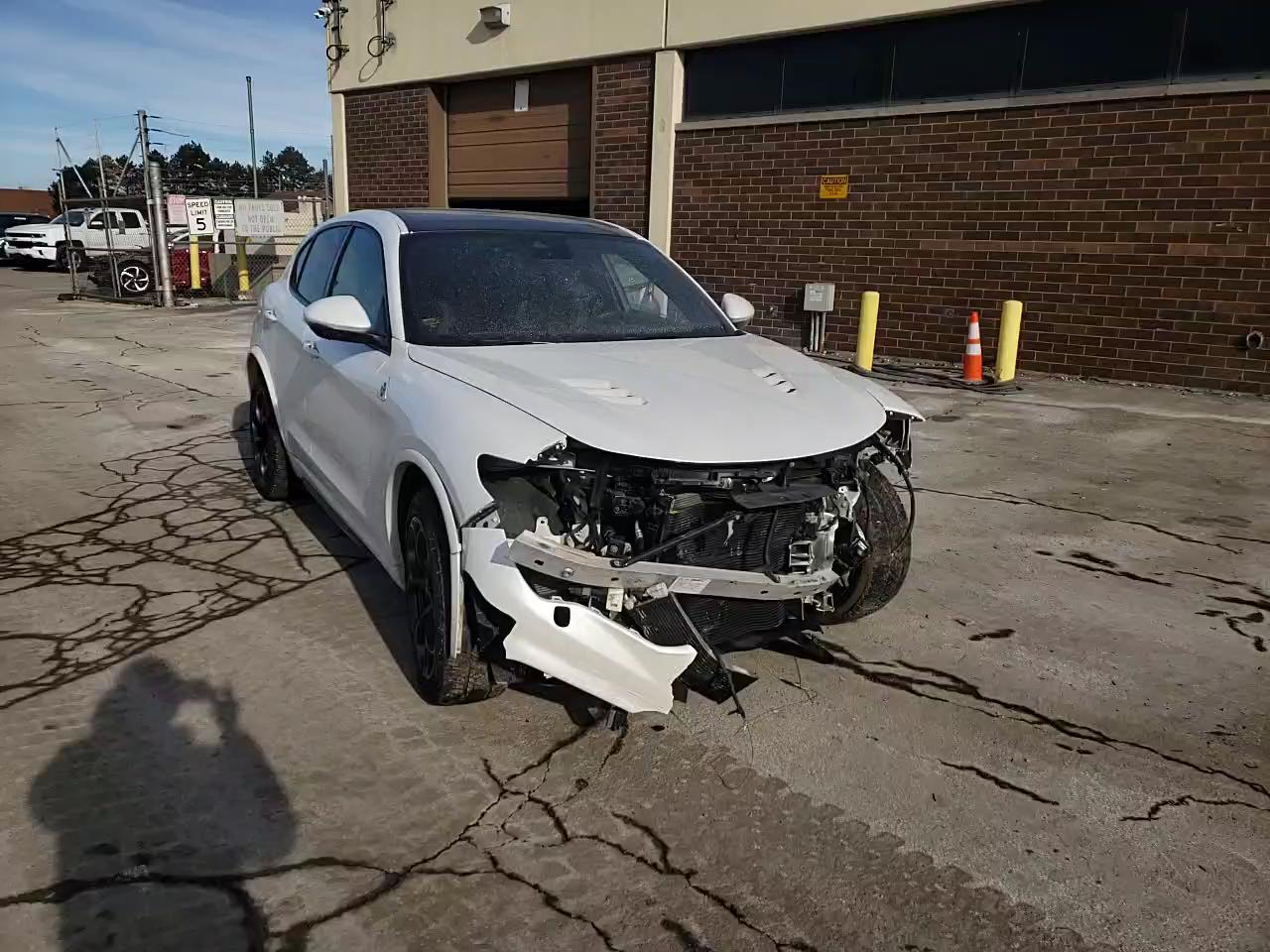 2019 ALFA ROMEO STELVIO QU ZASPAKEV2K7C38722