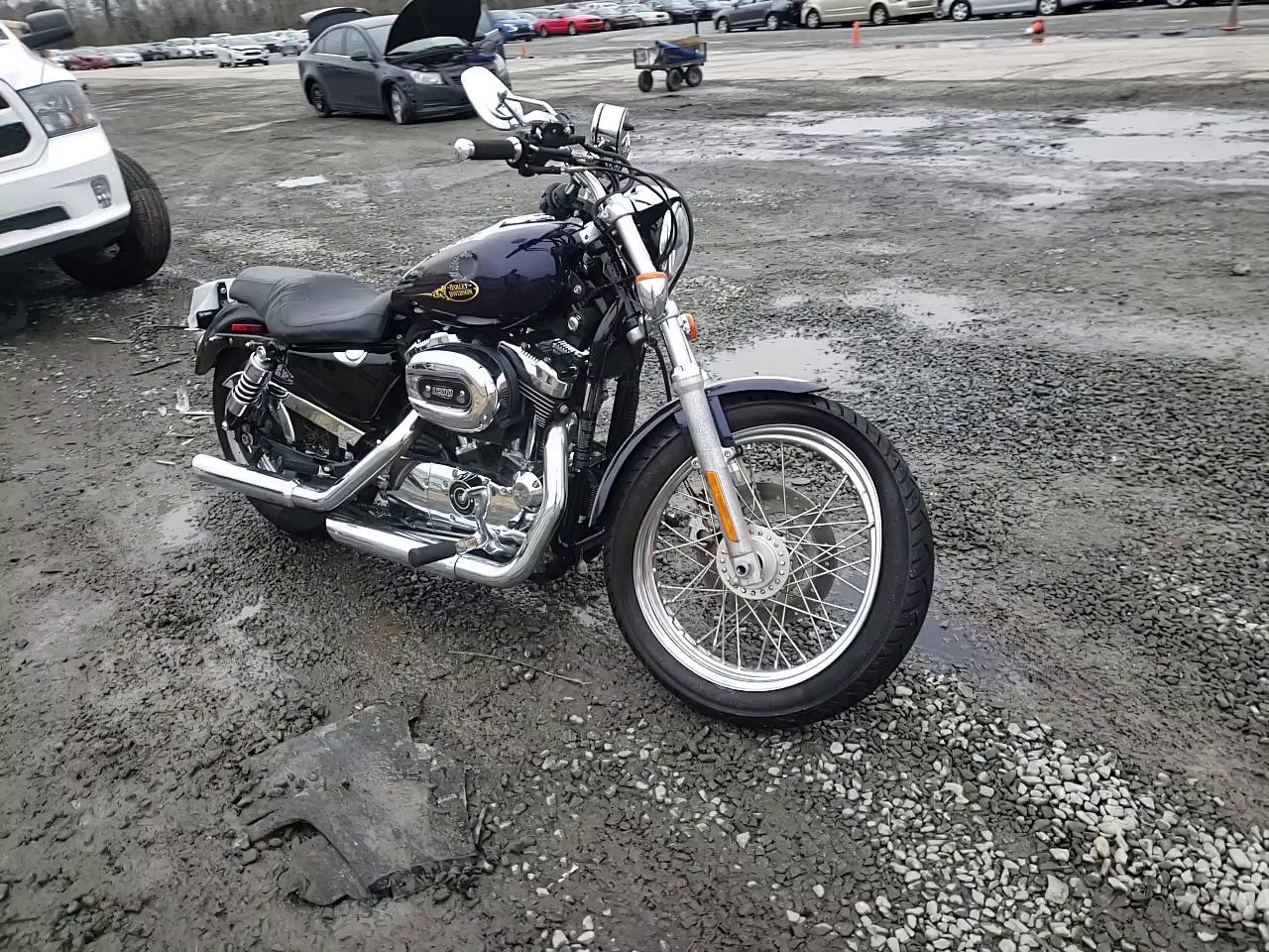 2009 HARLEY-DAVIDSON XL1200 L 1HD1CX3179K457557