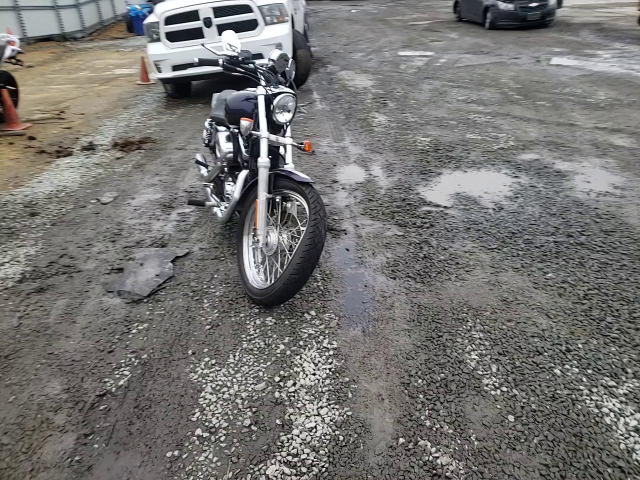 2009 HARLEY-DAVIDSON XL1200 L 1HD1CX3179K457557