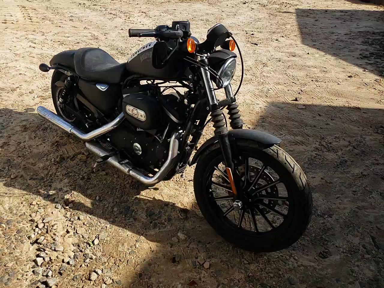 2015 HARLEY-DAVIDSON XLH883 1HD4LE219FC443443