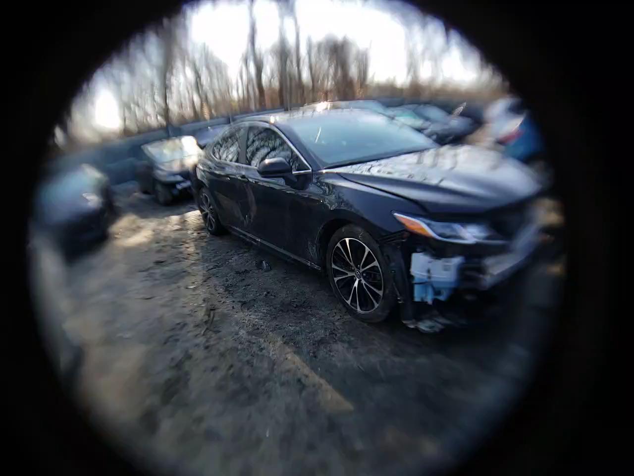 2019 TOYOTA CAMRY L 4T1B11HK4KU178289