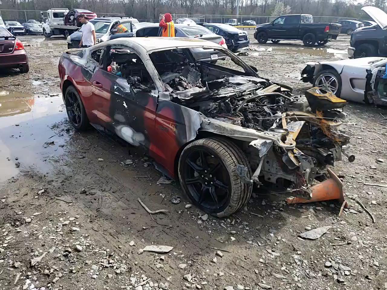 2019 FORD MUSTANG GT 1FA6P8CF1K5114881