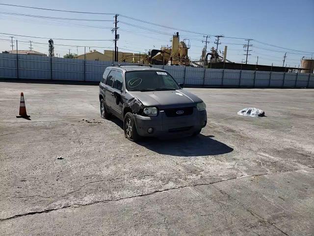 2005 Ford Escape Xlt VIN: 1FMYU03195KA02509 Lot: 41591122