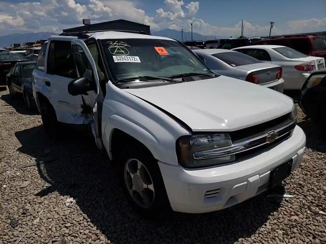 2008 Chevrolet Trailblazer Ls VIN: 1GNDT13S982197818 Lot: 53943172